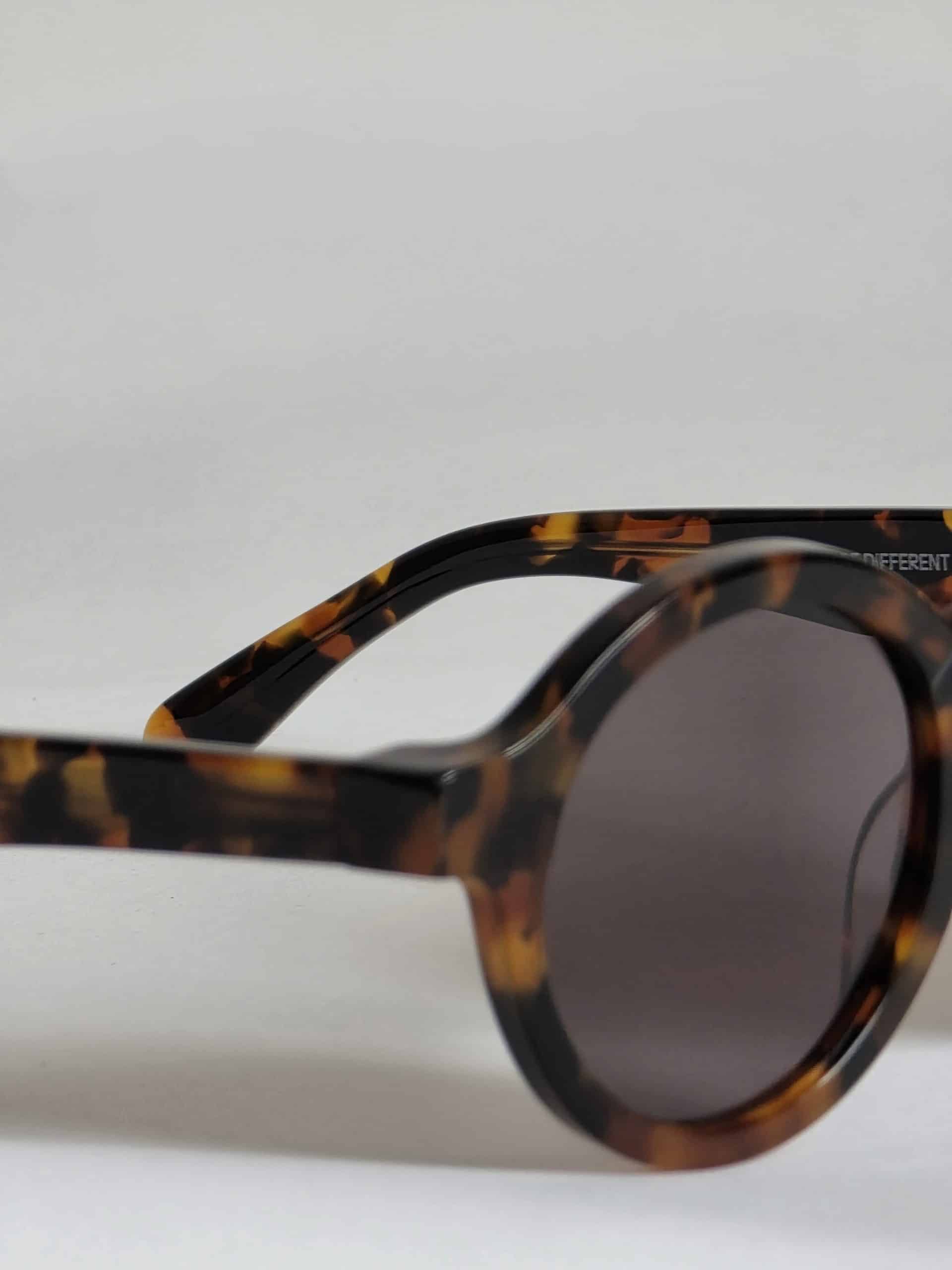 Dalston Cheetah tortoise
