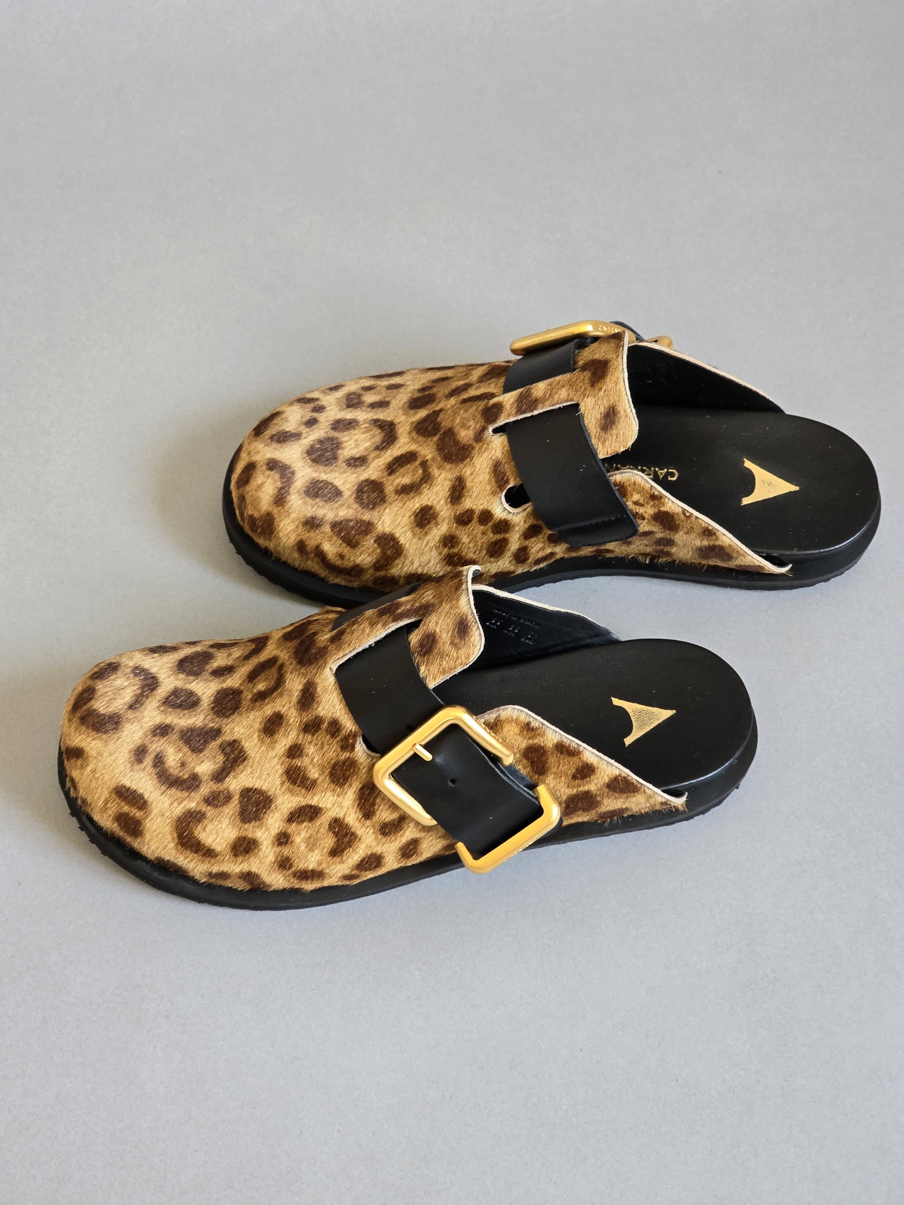 Shivani Leopard
