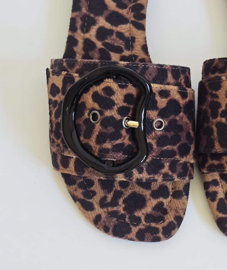Cole Leopard