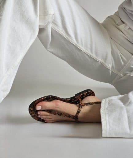 Alma Brown Snake