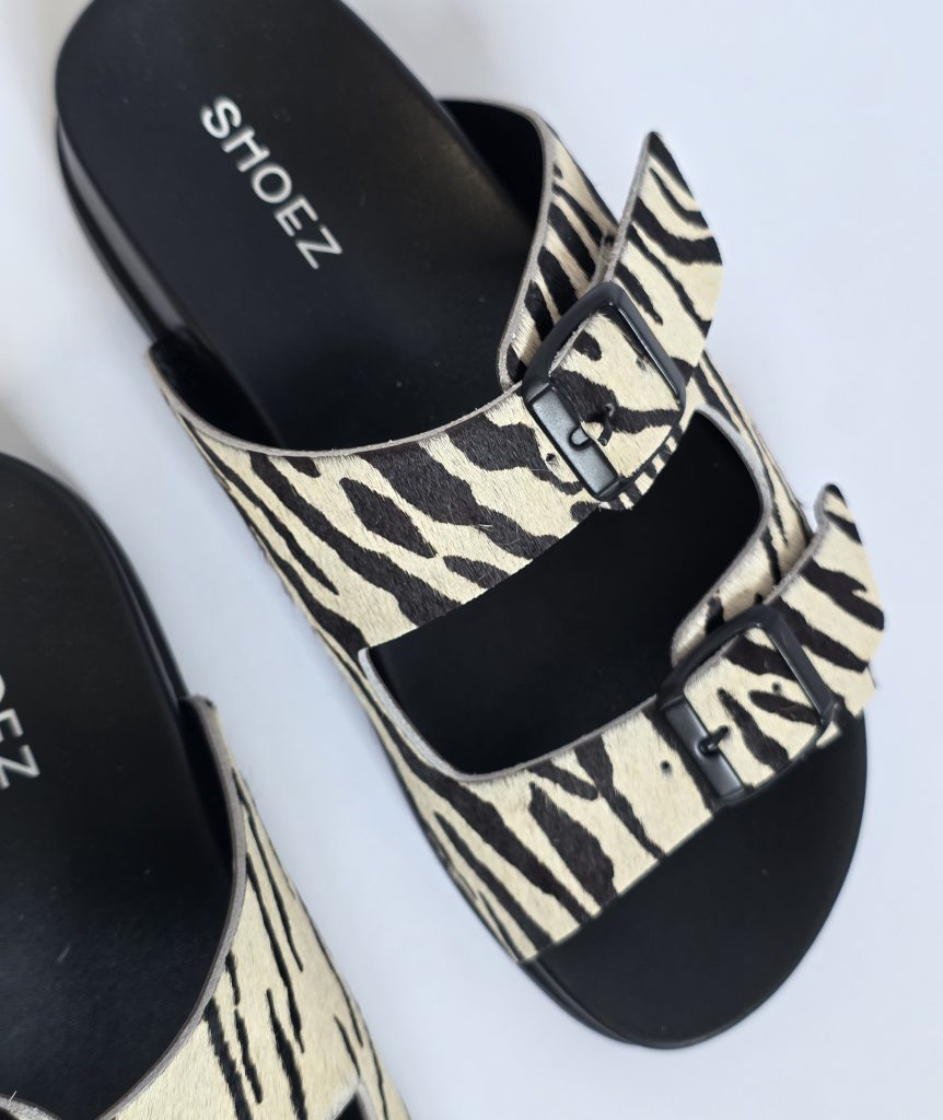Dassy Zebra
